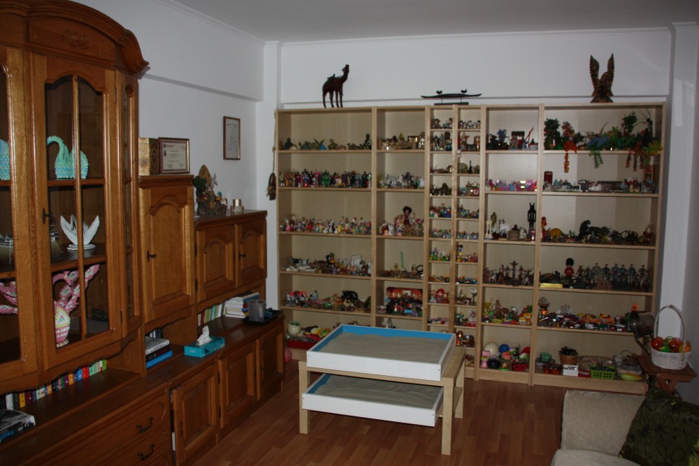 Cabinet de psihologie cu rafturi si masa de lucru